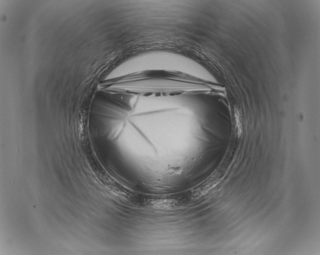 X0000071850268200607290140