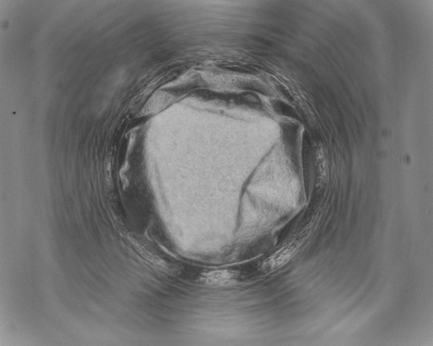 X0000071850269200607290140