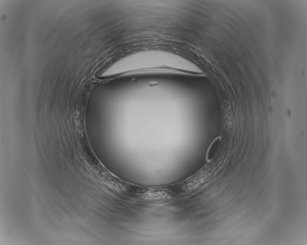 X0000071850270200607290140