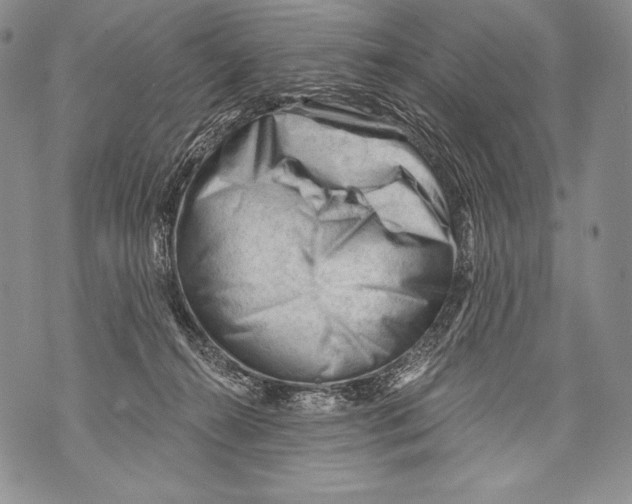 X0000071850272200607290140