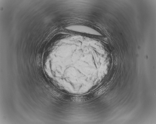 X0000071850273200607290140