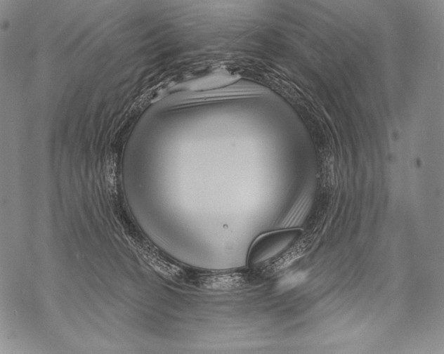 X0000071850274200607290140