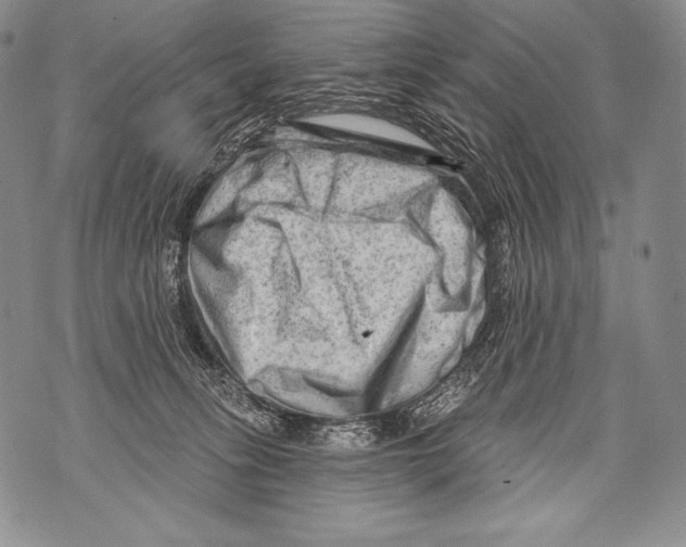 X0000071850275200607290140