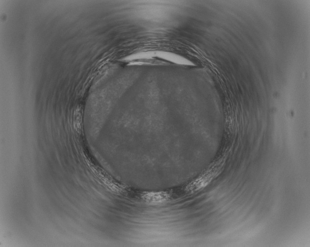 X0000071850277200607290140