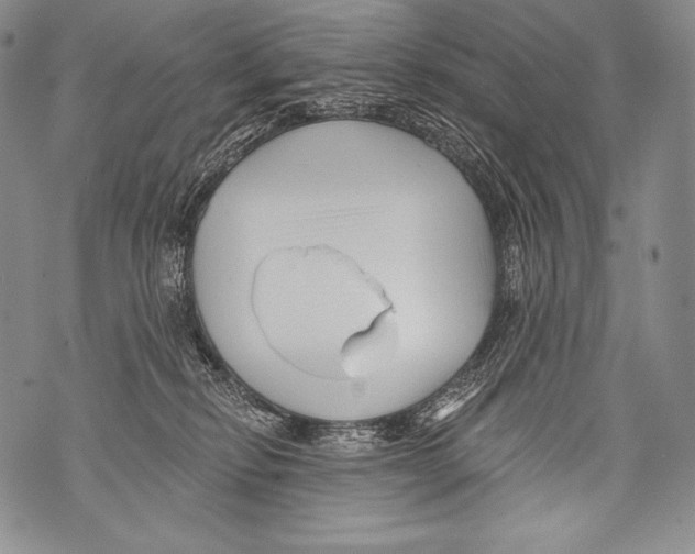 X0000071850278200607290140