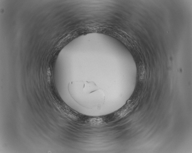 X0000071850279200607290140