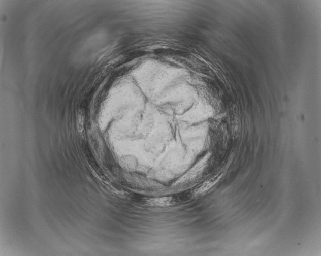 X0000071850281200607290140