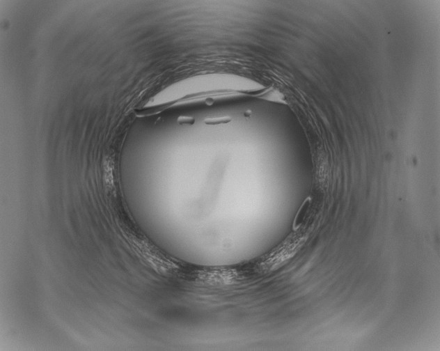 X0000071850282200607290140