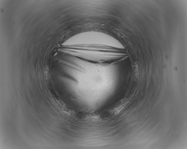 X0000071850283200607290140