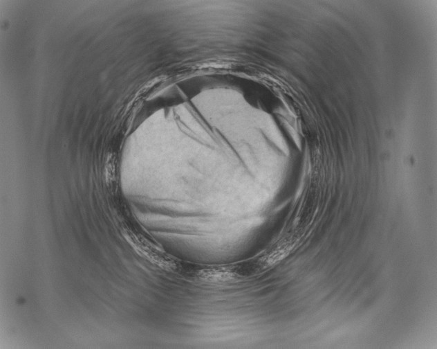 X0000071850284200607290140