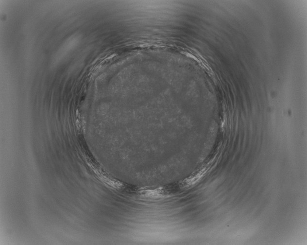 X0000071850285200607290140