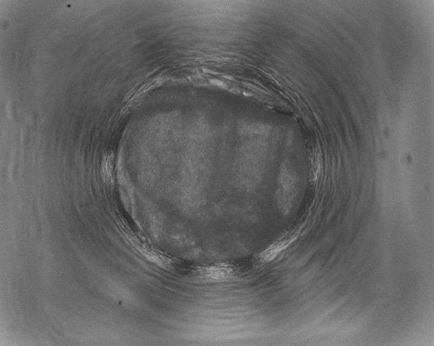 X0000071850286200607290140