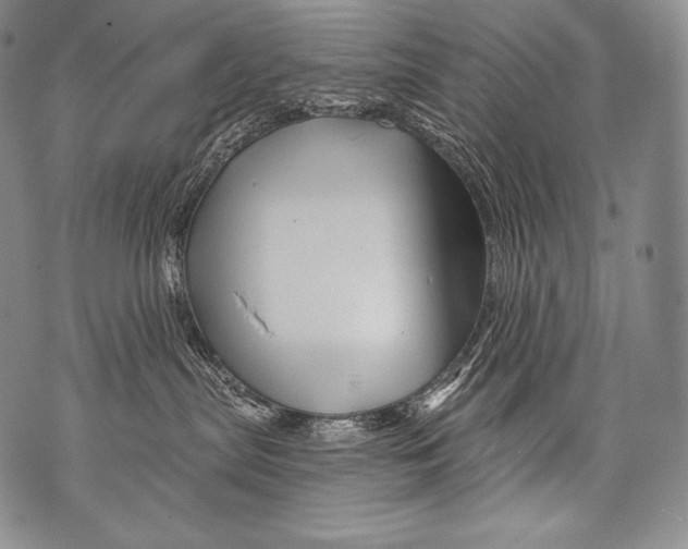 X0000071850287200607290140