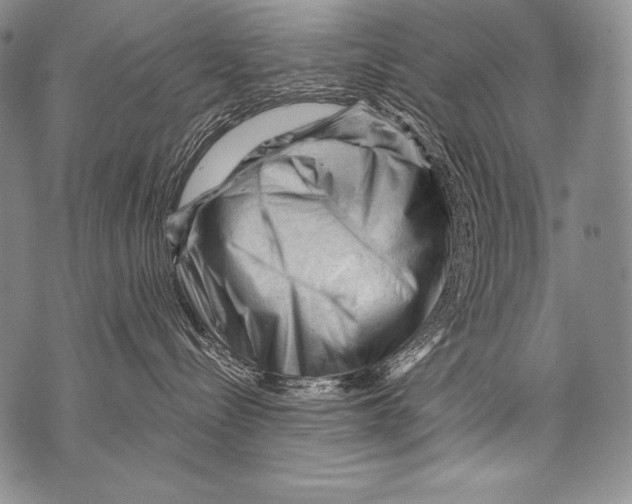 X0000071850288200607290140