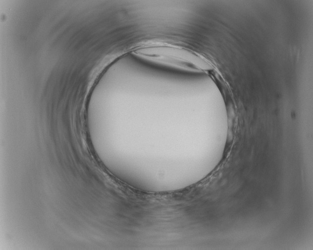 X0000071850289200607290139