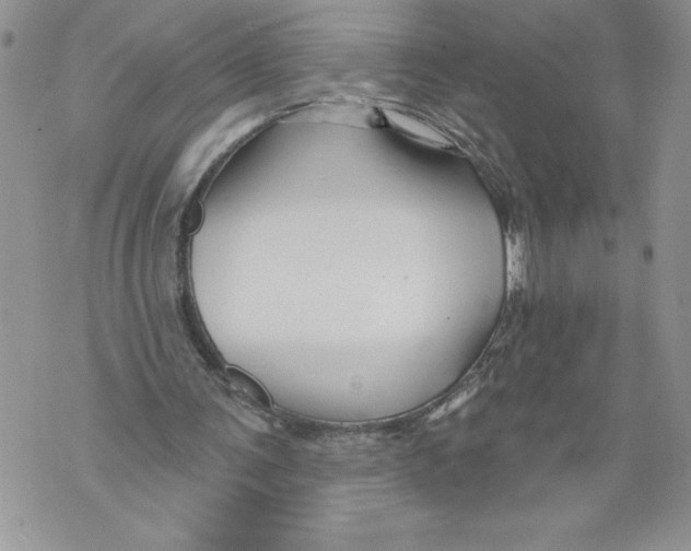 X0000071850291200607290139