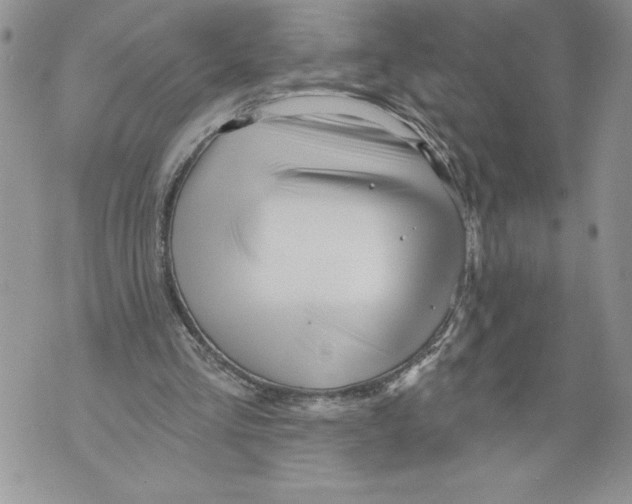 X0000071850293200607290139