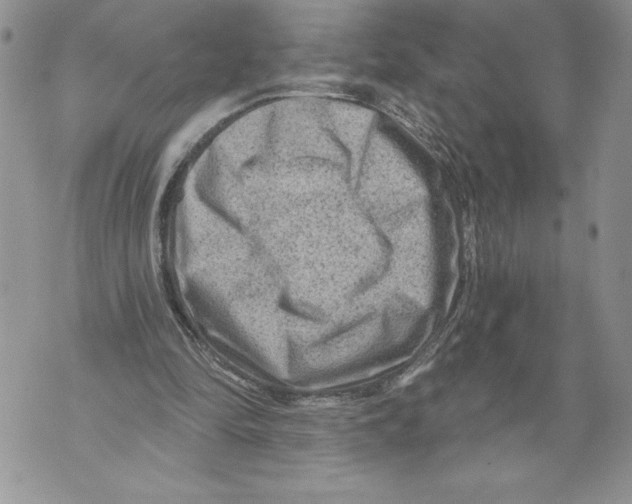 X0000071850294200607290139