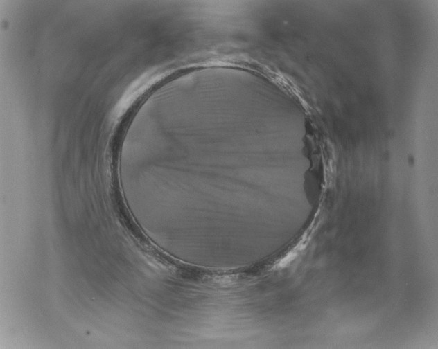 X0000071850295200607290139