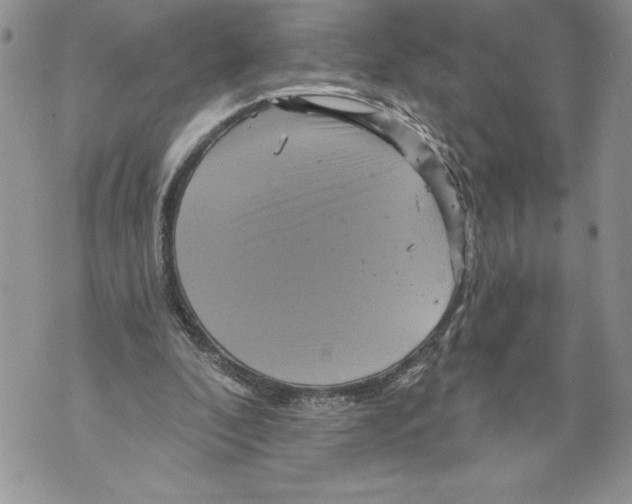 X0000071850296200607290139