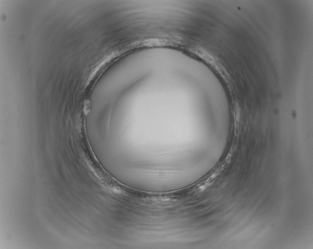 X0000071850297200607290139