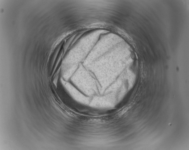 X0000071850298200607290139