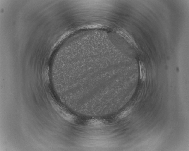 X0000071850300200607290139