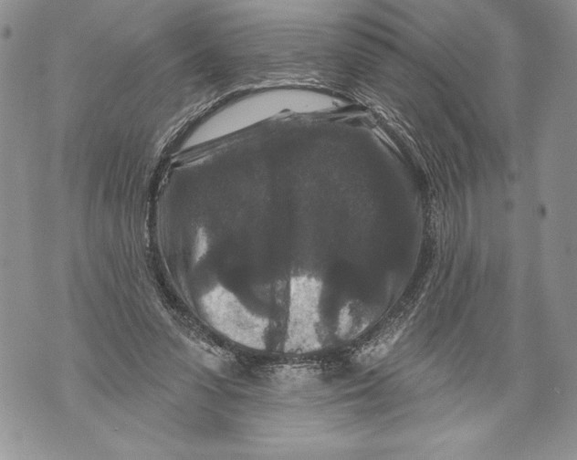 X0000071850303200607290139