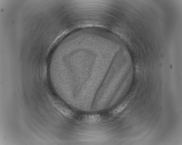 X0000071850304200607290139