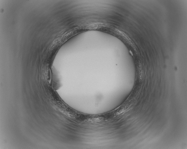 X0000071850307200607290139