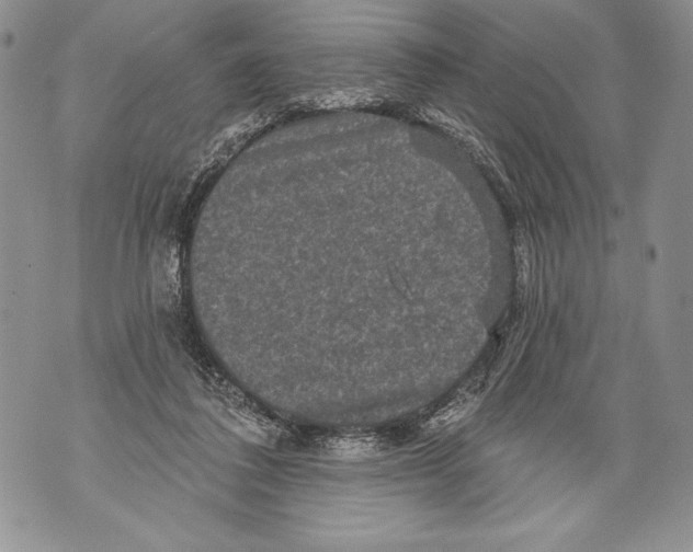 X0000071850308200607290139