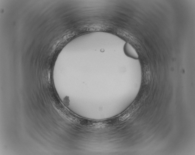 X0000071850310200607290139