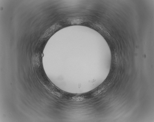 X0000071850311200607290139