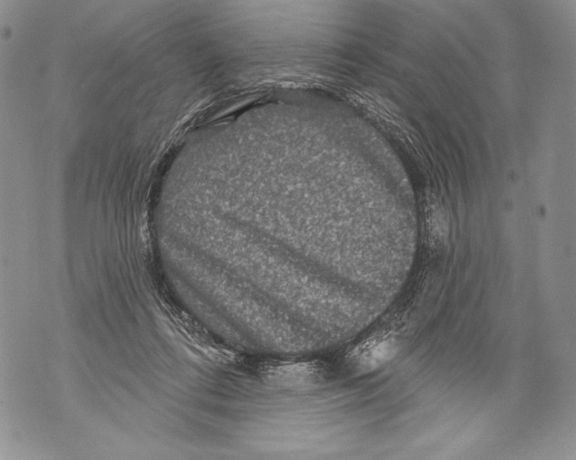 X0000071850312200607290139