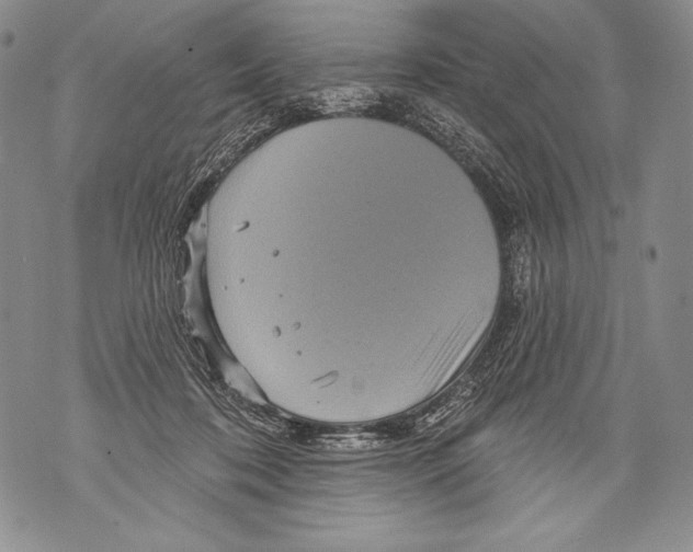 X0000071850316200607290139