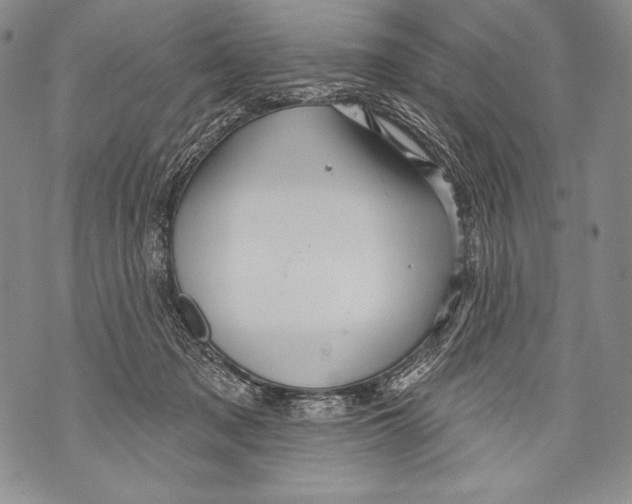 X0000071850317200607290139