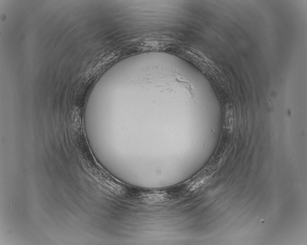 X0000071850318200607290139