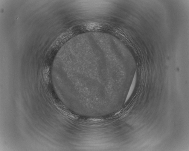 X0000071850319200607290139