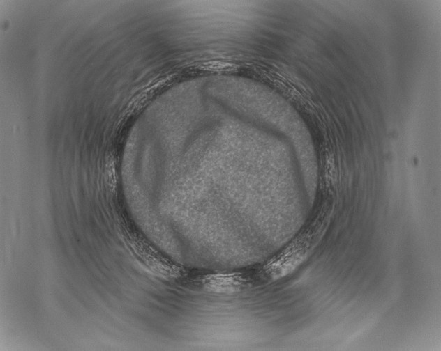 X0000071850320200607290139