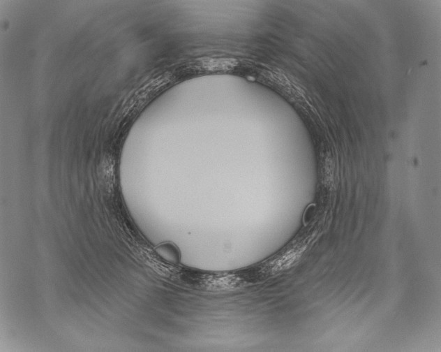 X0000071850321200607290139