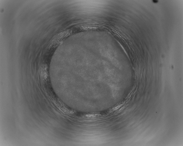 X0000071850323200607290139