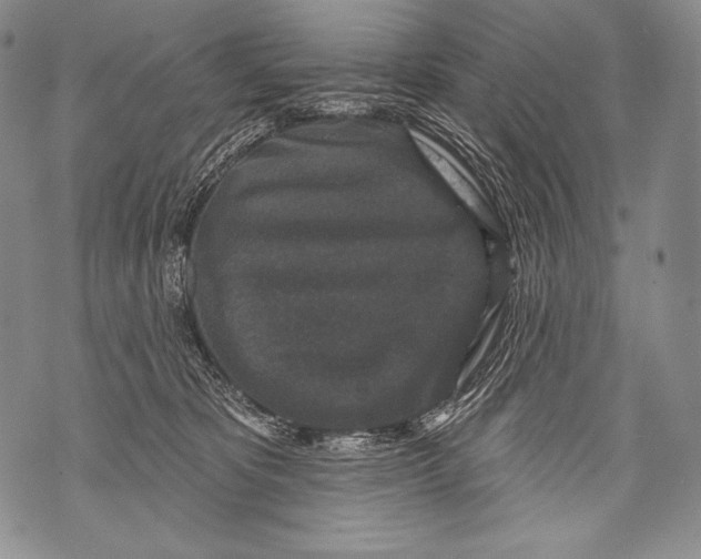 X0000071850325200607290139