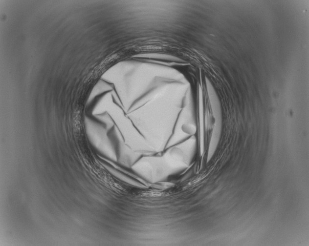 X0000071850326200607290139