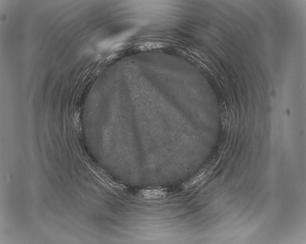 X0000071850327200607290139