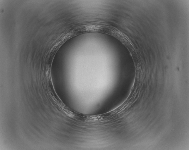 X0000071850329200607290139