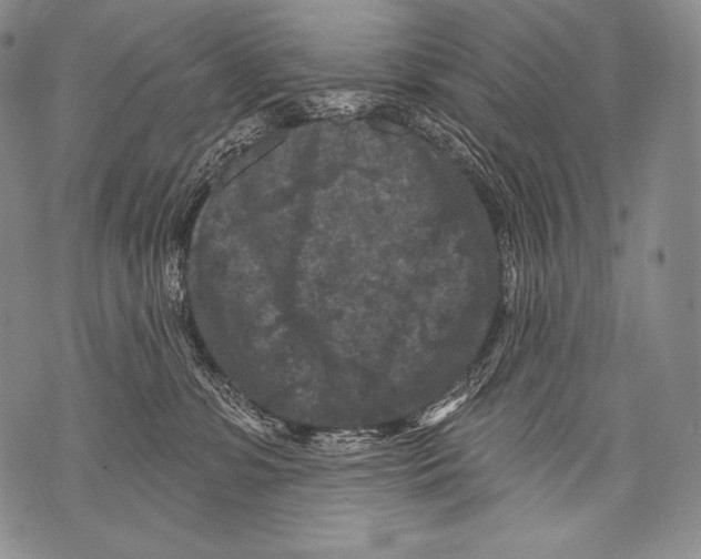 X0000071850331200607290139