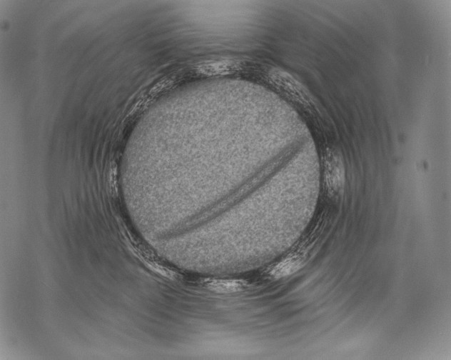 X0000071850332200607290139