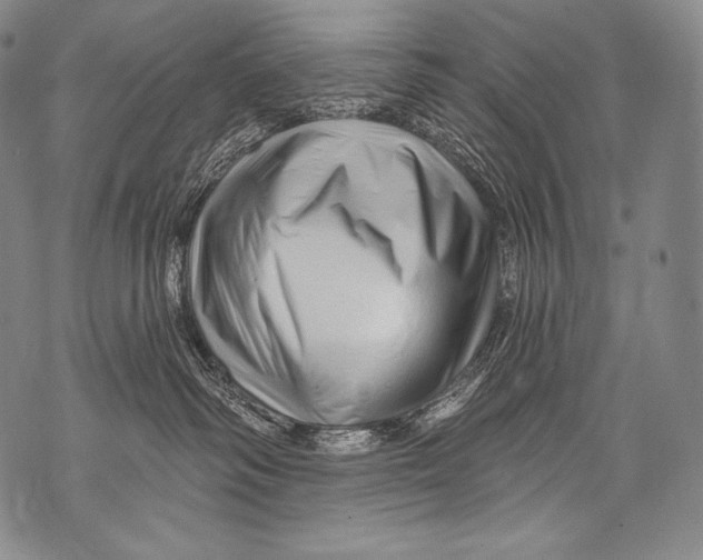 X0000071850334200607290139