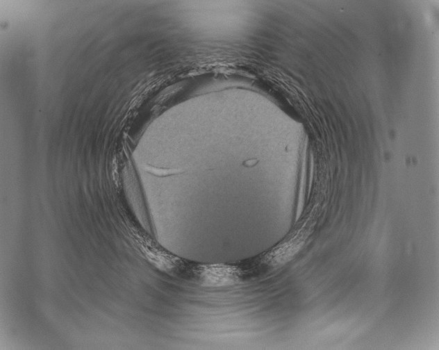 X0000071850336200607290138