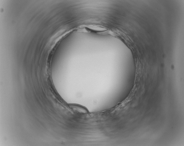 X0000071850338200607290138